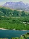 Whereas the valley at the foot of Mt.St.Helens is grey and still, for the most part, lifeless, the neighbouring valley which was spared during the eruption is green and lush -- a stunning contrast.